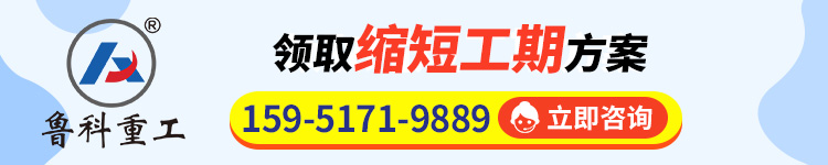 立式二次結(jié)構(gòu)泵