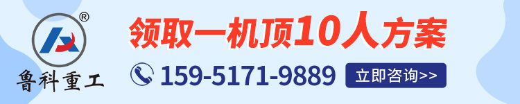 立式二次結(jié)構(gòu)泵